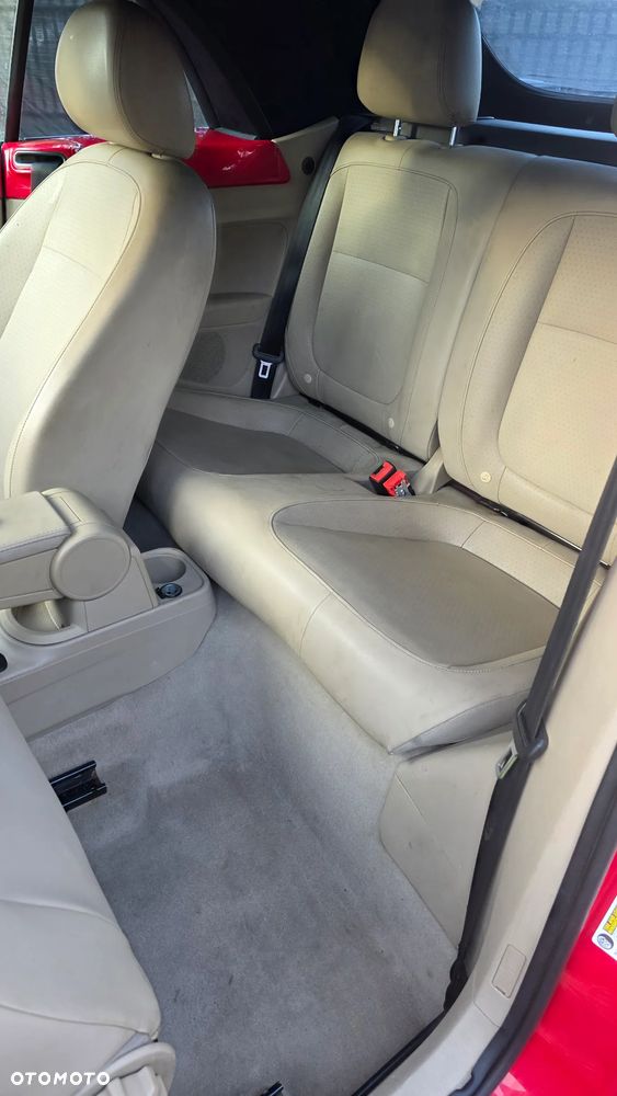 Volkswagen Beetle - 31