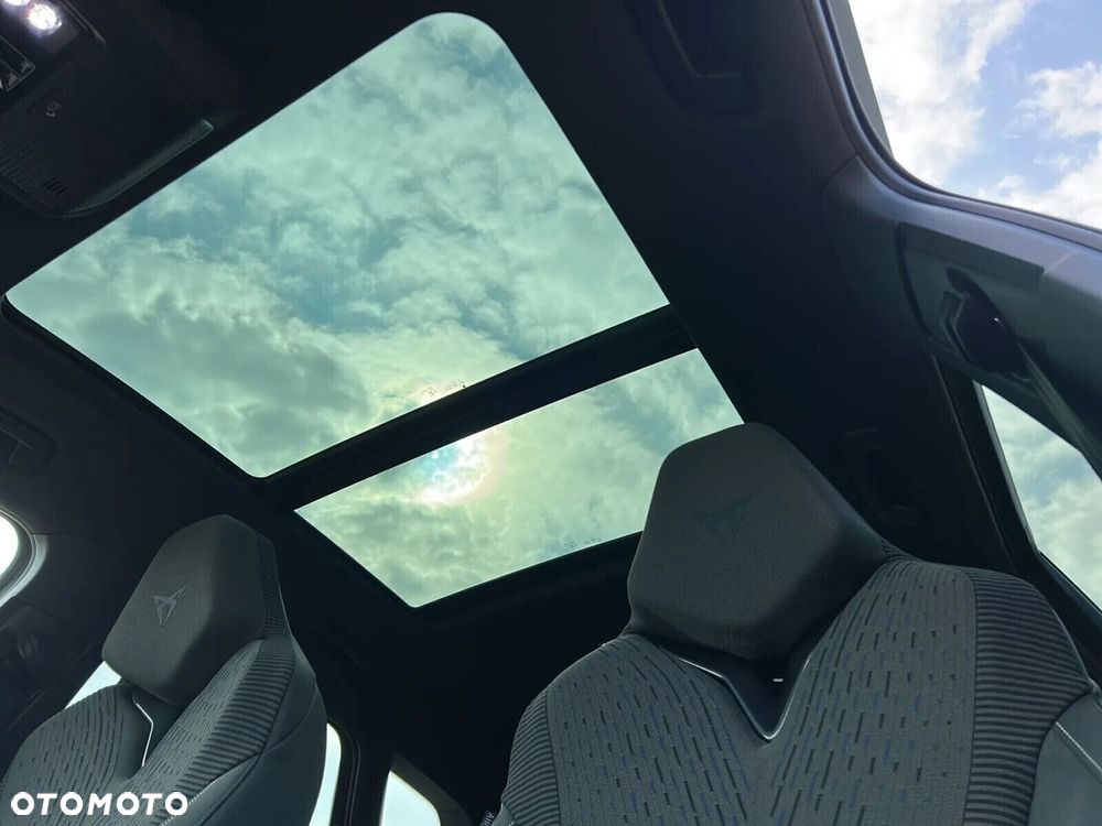 Cupra Terramar - 30