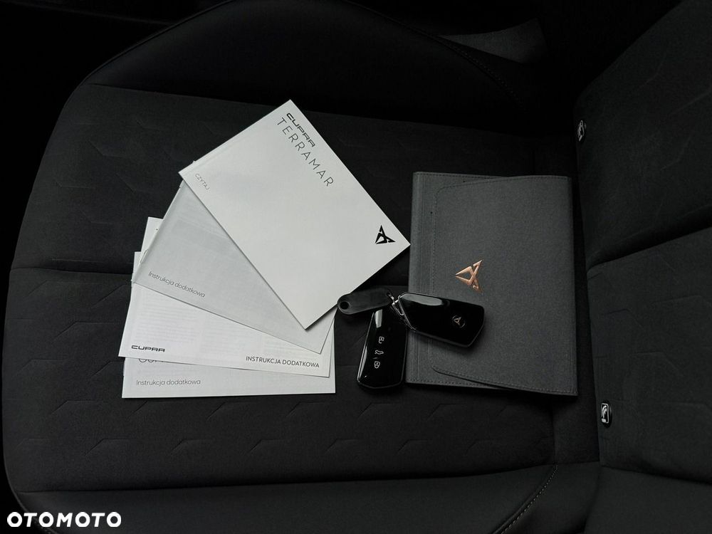 Cupra Terramar 2.0 TSI 4Drive DSG - 39
