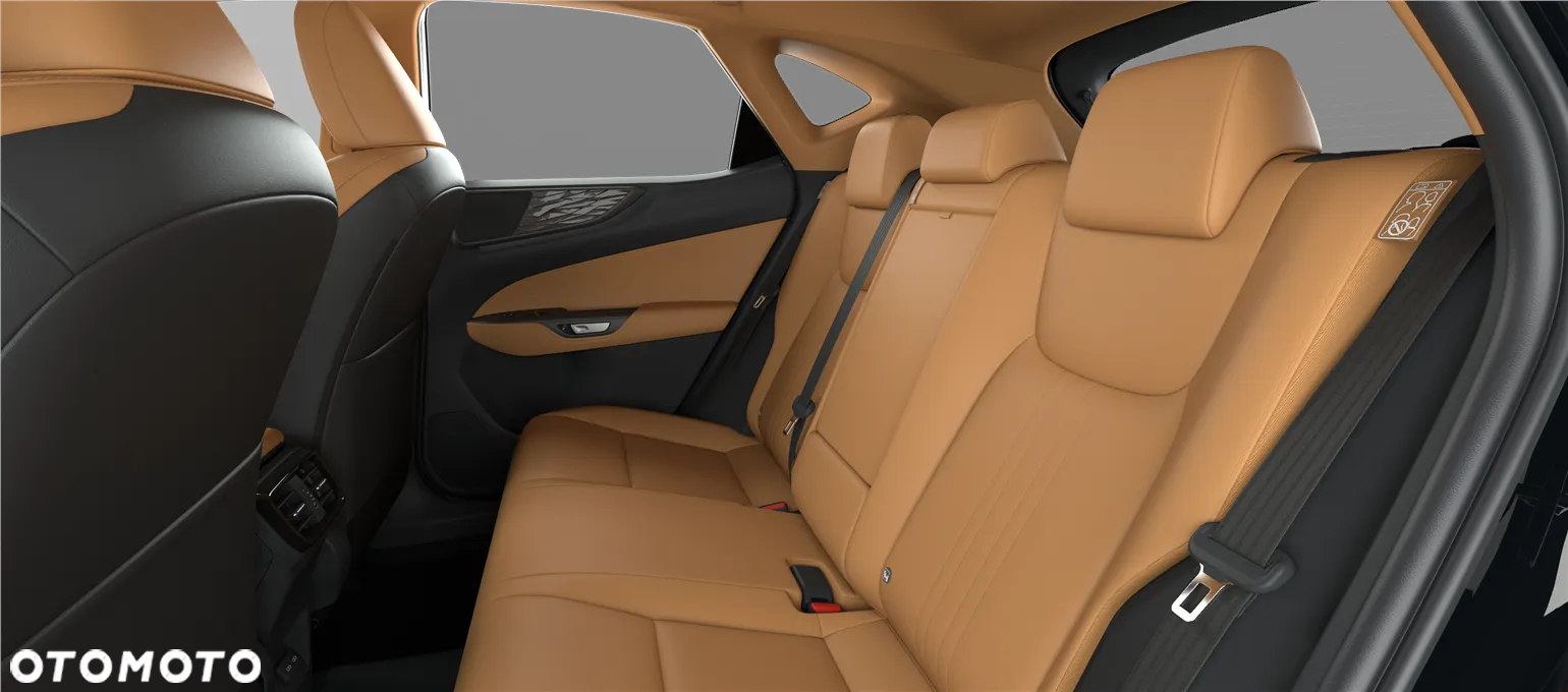 Lexus NX - 10