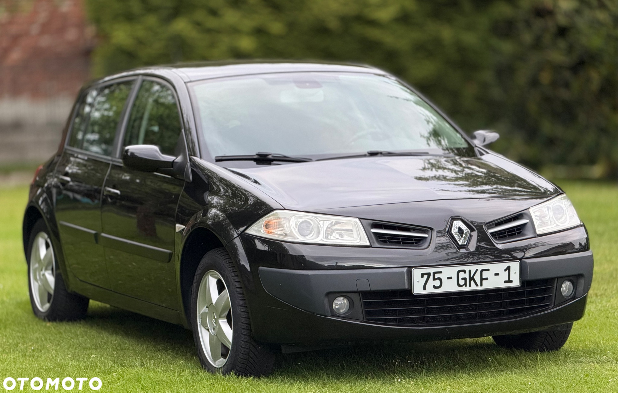 Renault Megane - 12