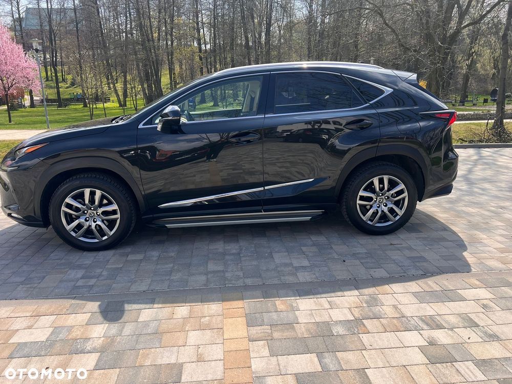 Lexus NX 300 Elegance Optimum AWD - 3