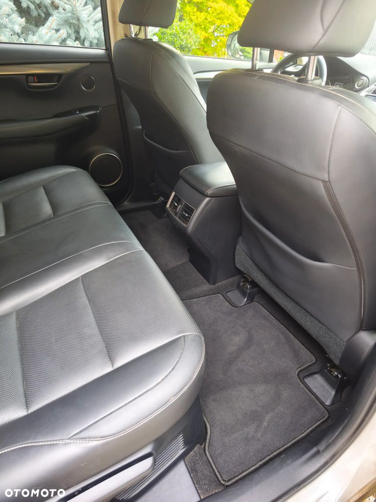 Lexus NX 300 GPF Comfort AWD - 14