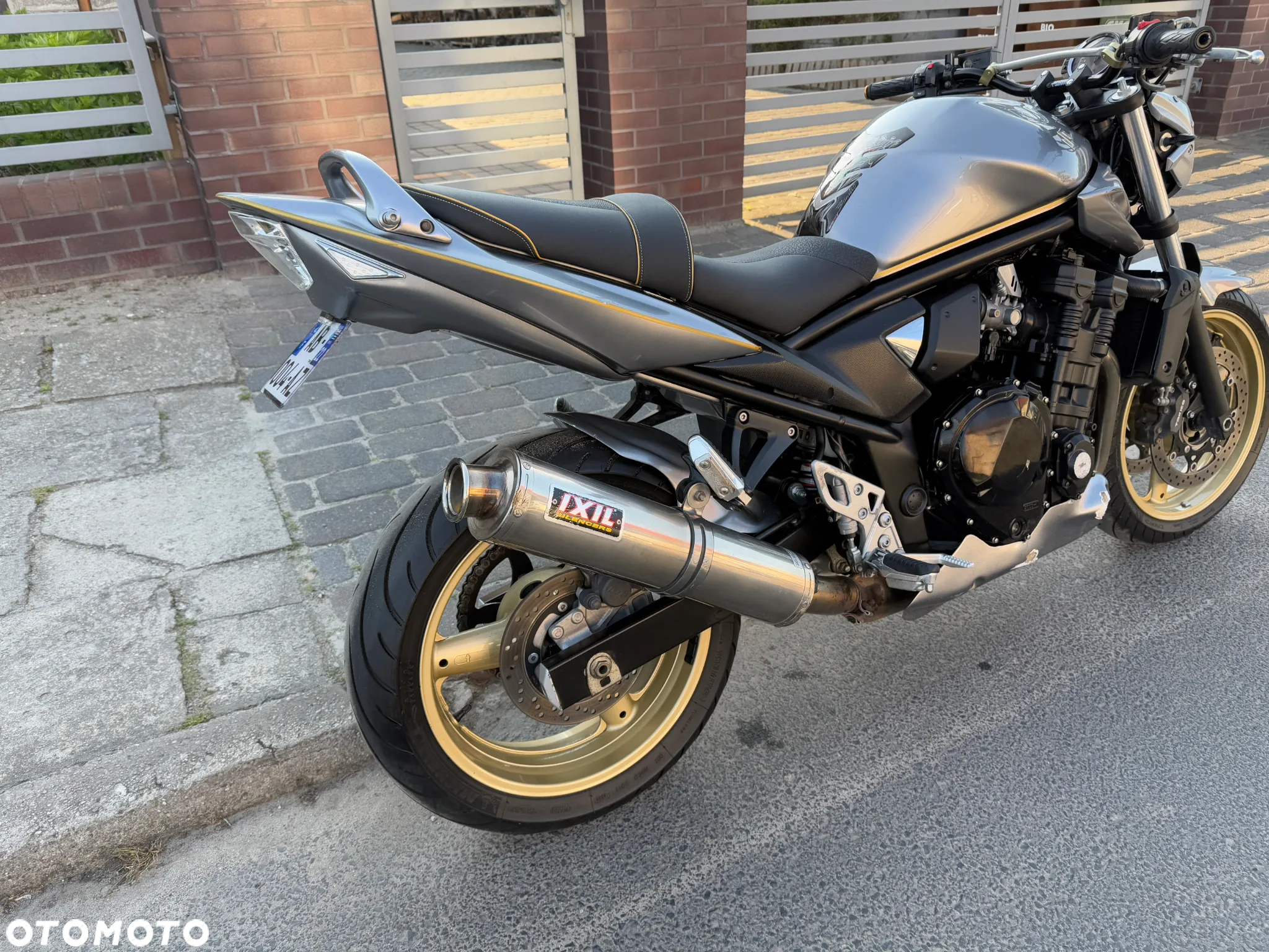 Suzuki Bandit - 21