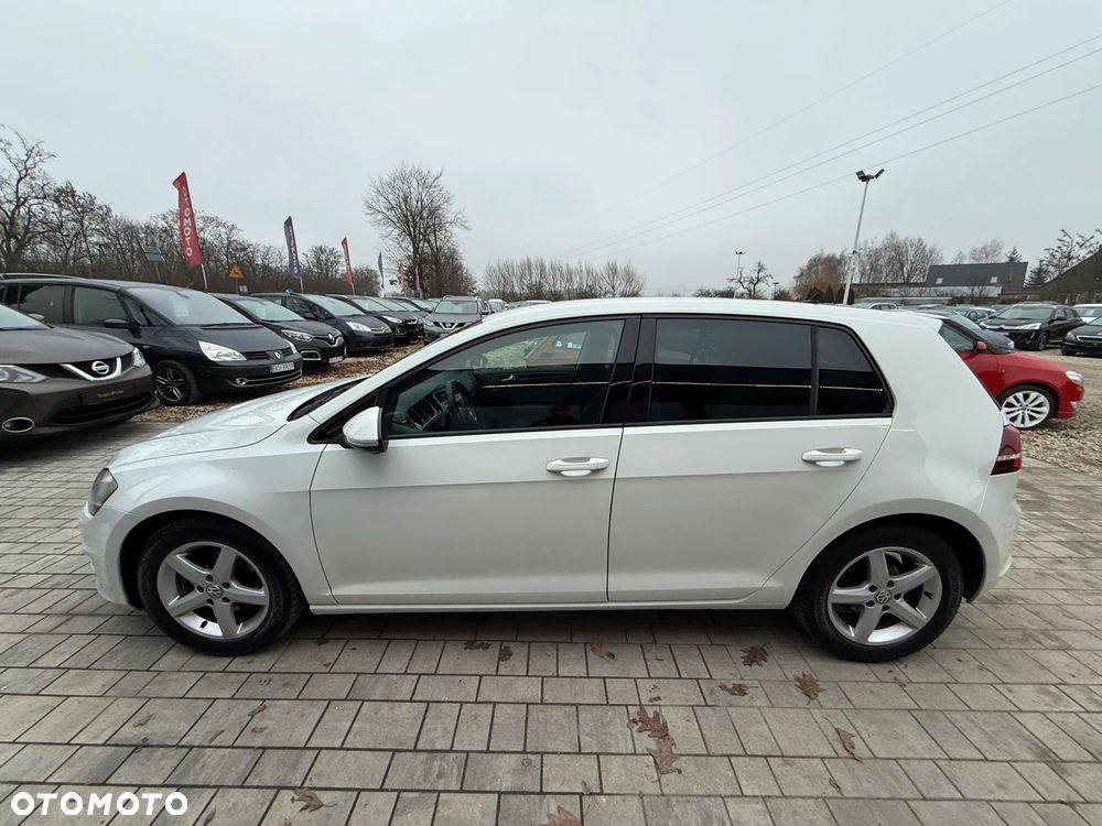 Volkswagen Golf - 19