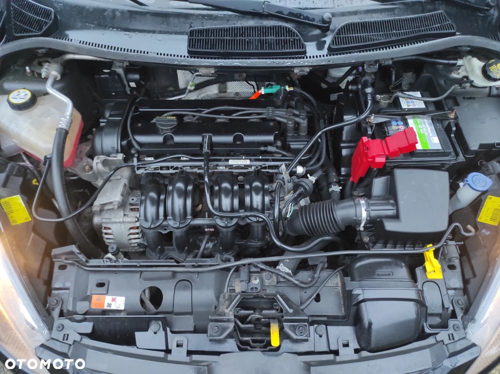 Ford Fiesta 1.25 Champions Edition - 13