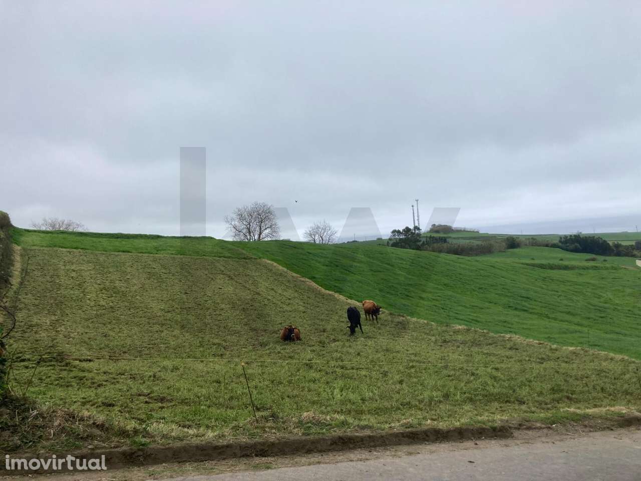 Terreno - Grande imagem: 2/6