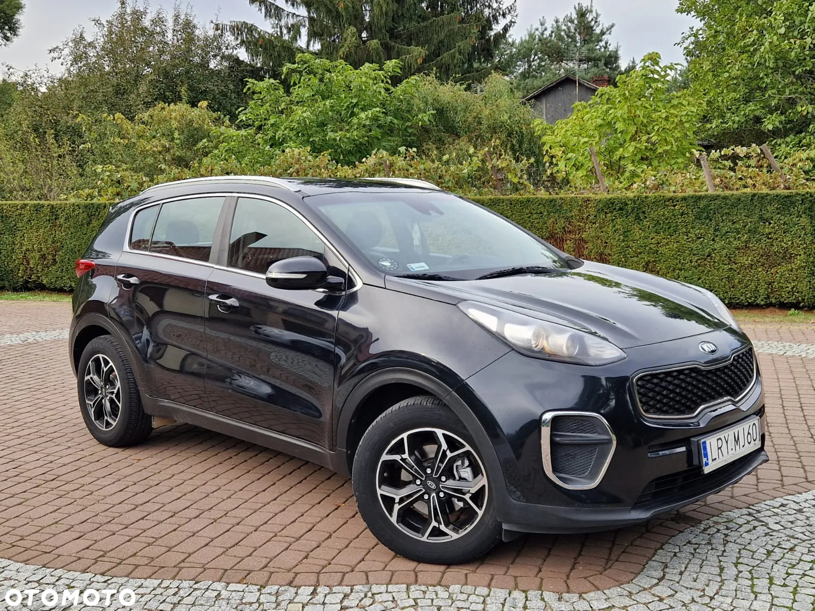 Kia Sportage - 17