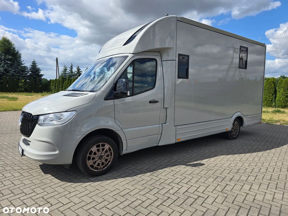 Mercedes-Benz Koniowóz-Sprinter - 9