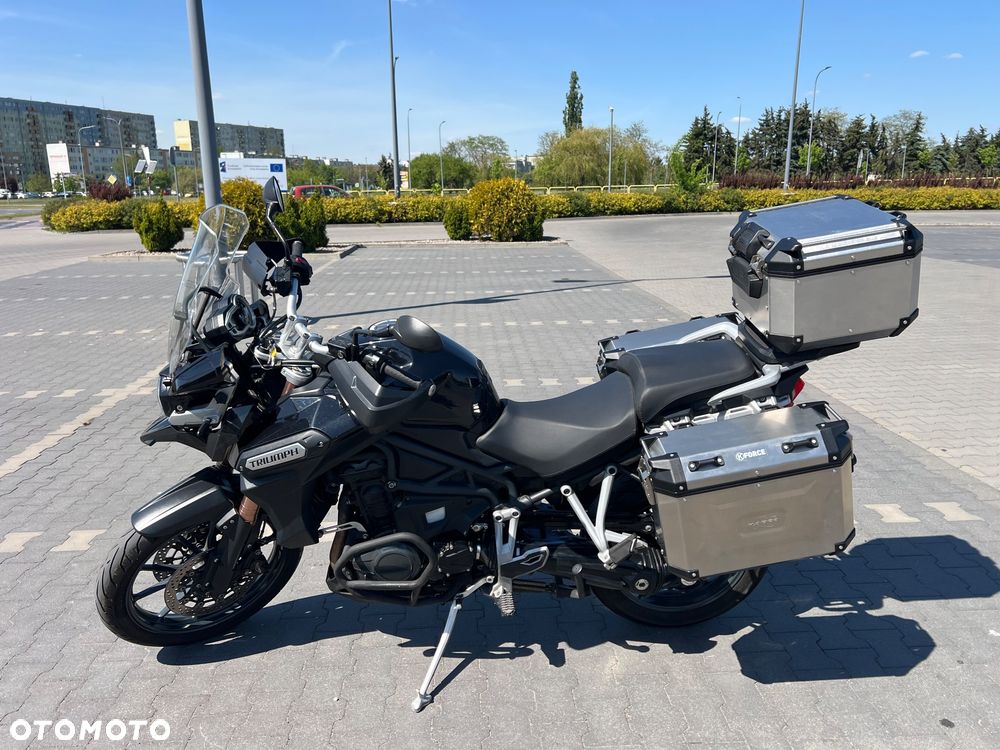 Triumph Tiger - 38