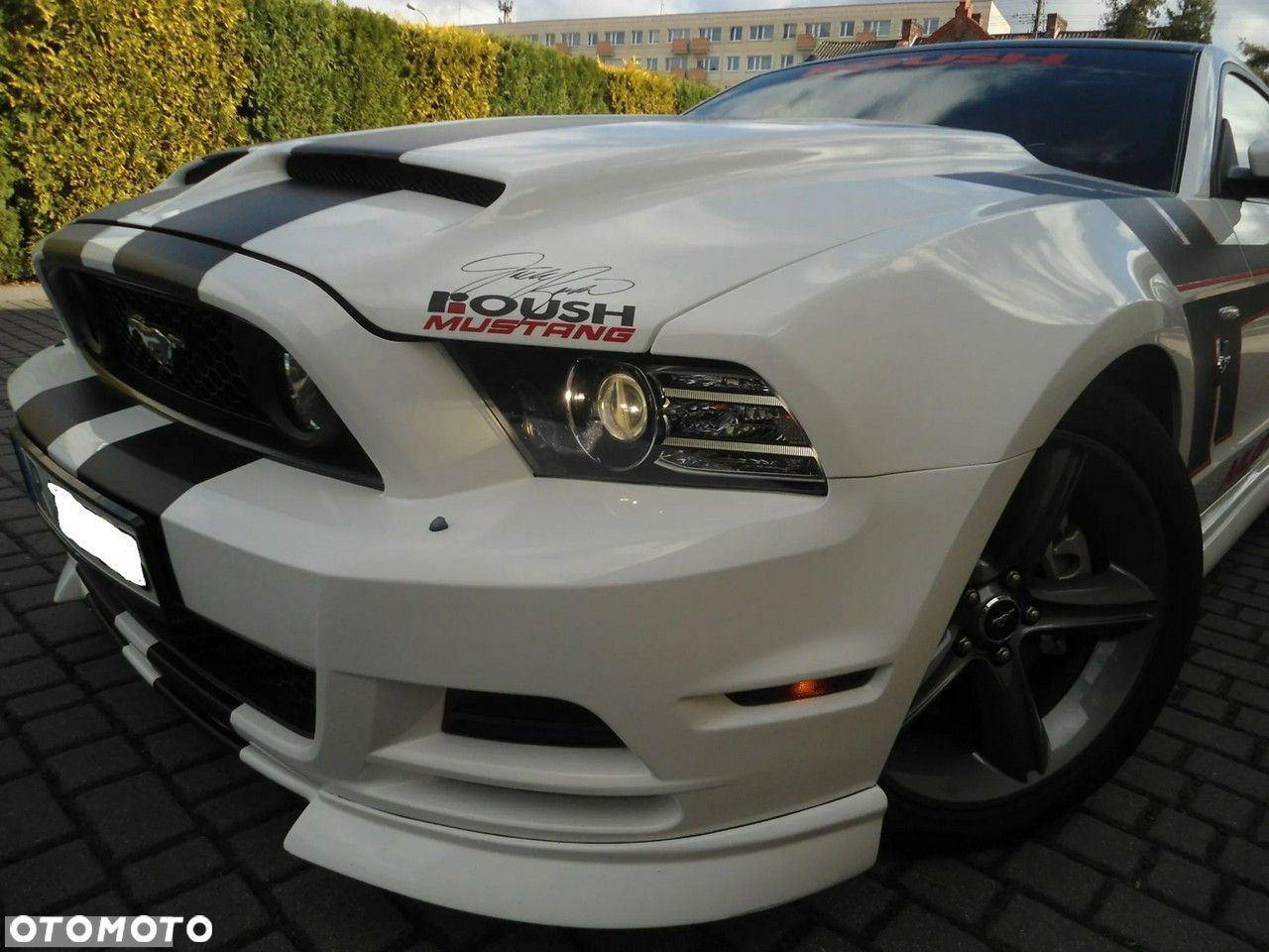 Ford Mustang - 1