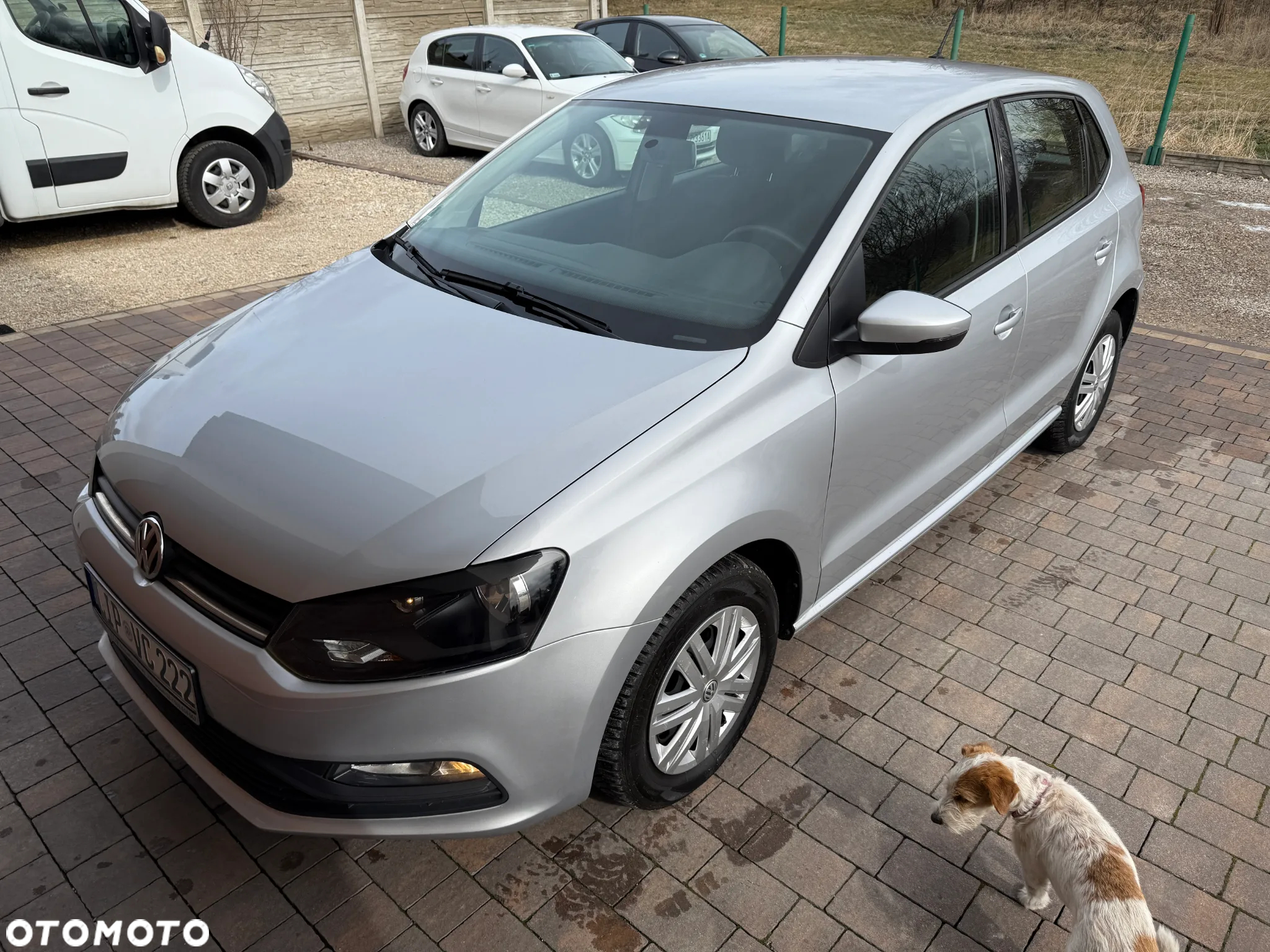 Volkswagen Polo - 20