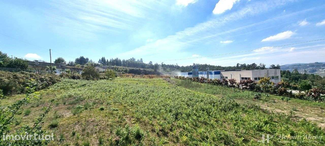 Terreno p/ construção Figueiró Santiago Amarante - Grande imagem: 3/8