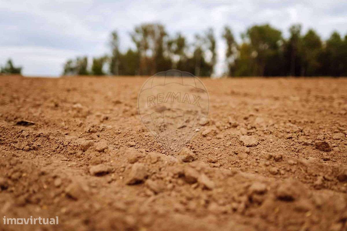 Terreno  para venda