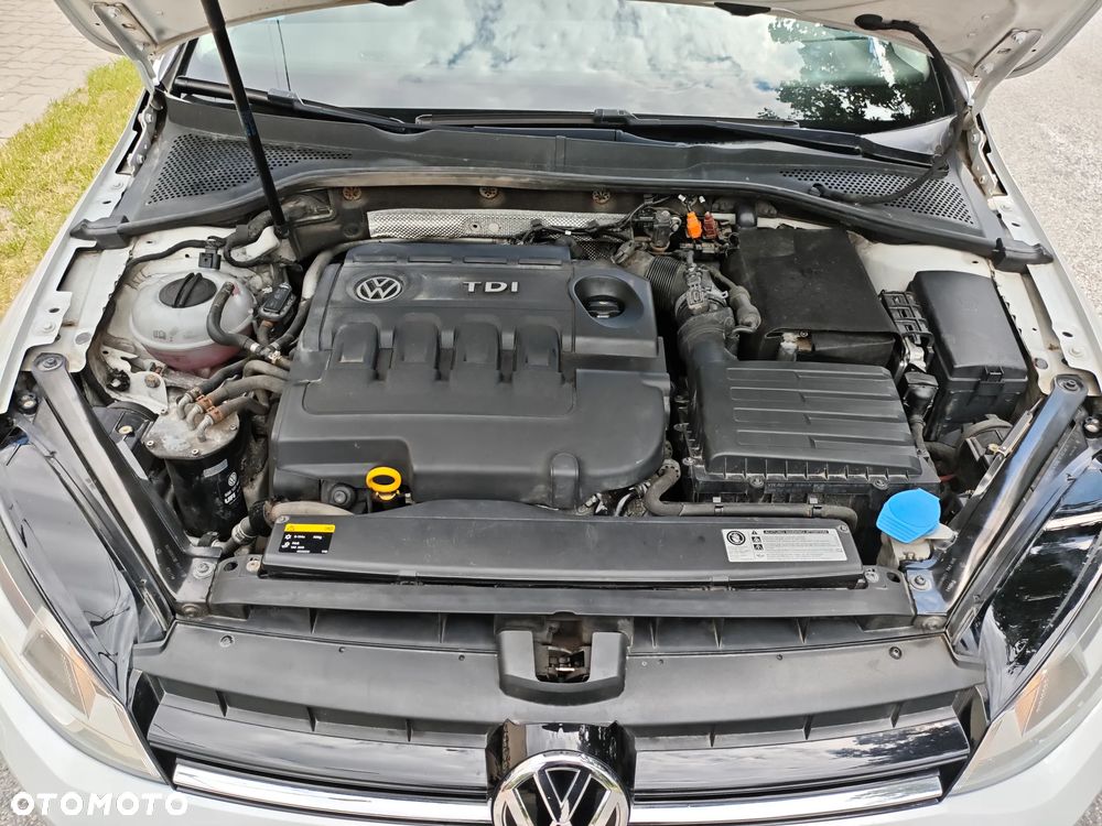Volkswagen Golf 1.6 TDI BlueMotion Technology Cup - 36