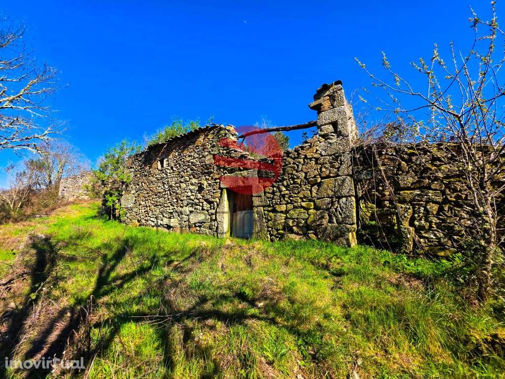 MOINHOS DE CEREAIS - Grande imagem: 2/13