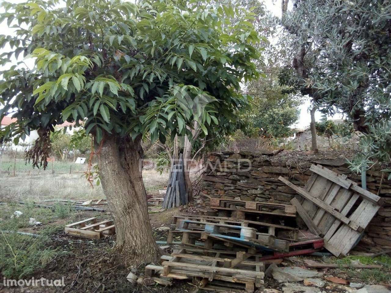 Terreno em Rio de Moínhos - Grande imagem: 5/10