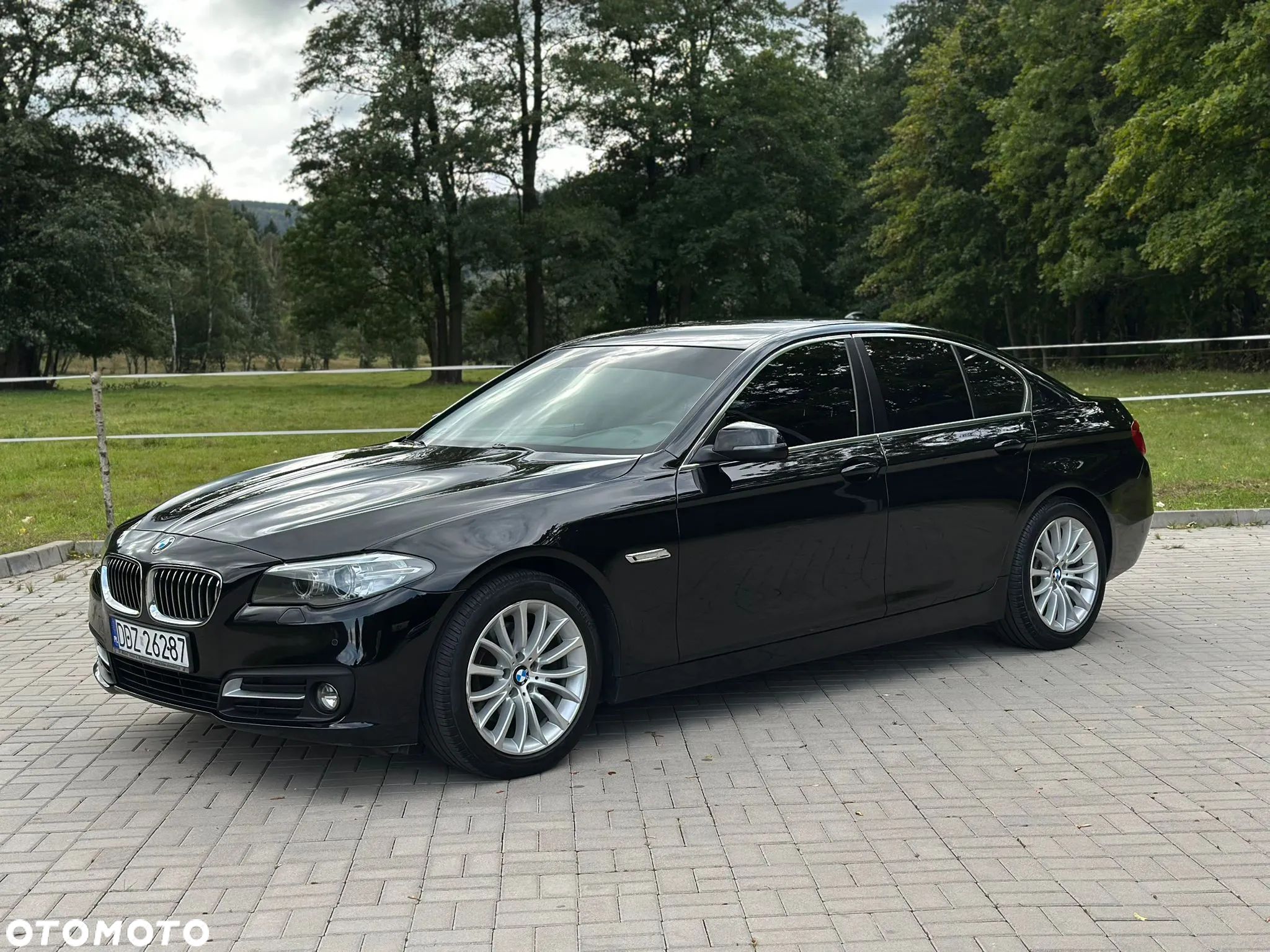 BMW Seria 5 520i Luxury Line - 1