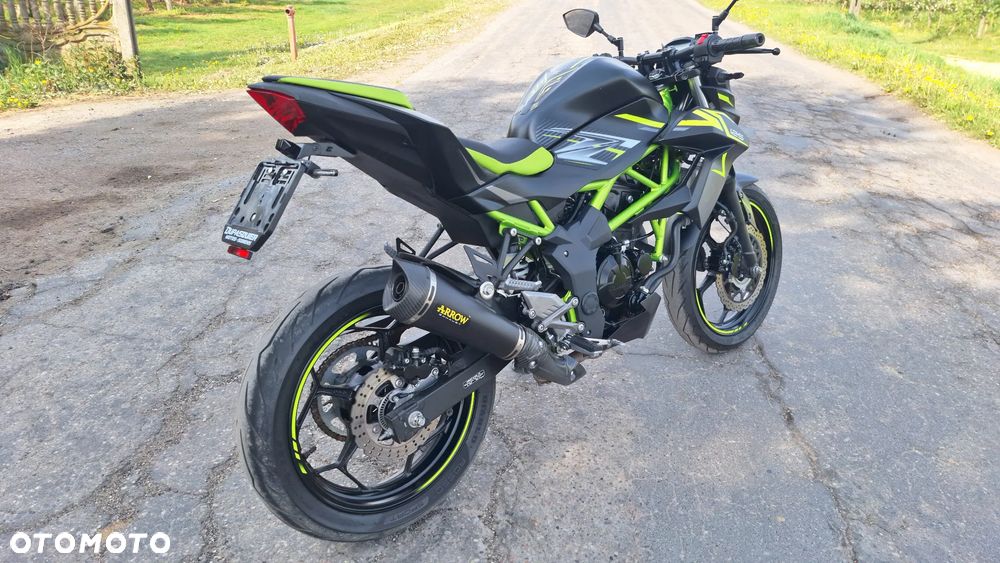 Kawasaki Z - 31
