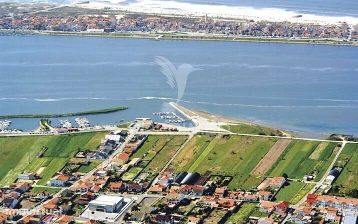 Terreno Urbano Gafanha da Encarnaçao - Grande imagem: 3/3