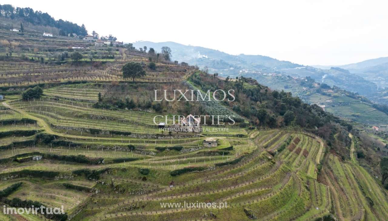 Fantástica quinta à venda no Douro Valley, Resende - Grande imagem: 4/25