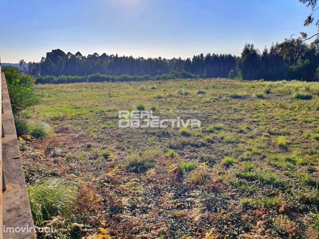 Terreno industrial em Rio Meão - Grande imagem: 3/6