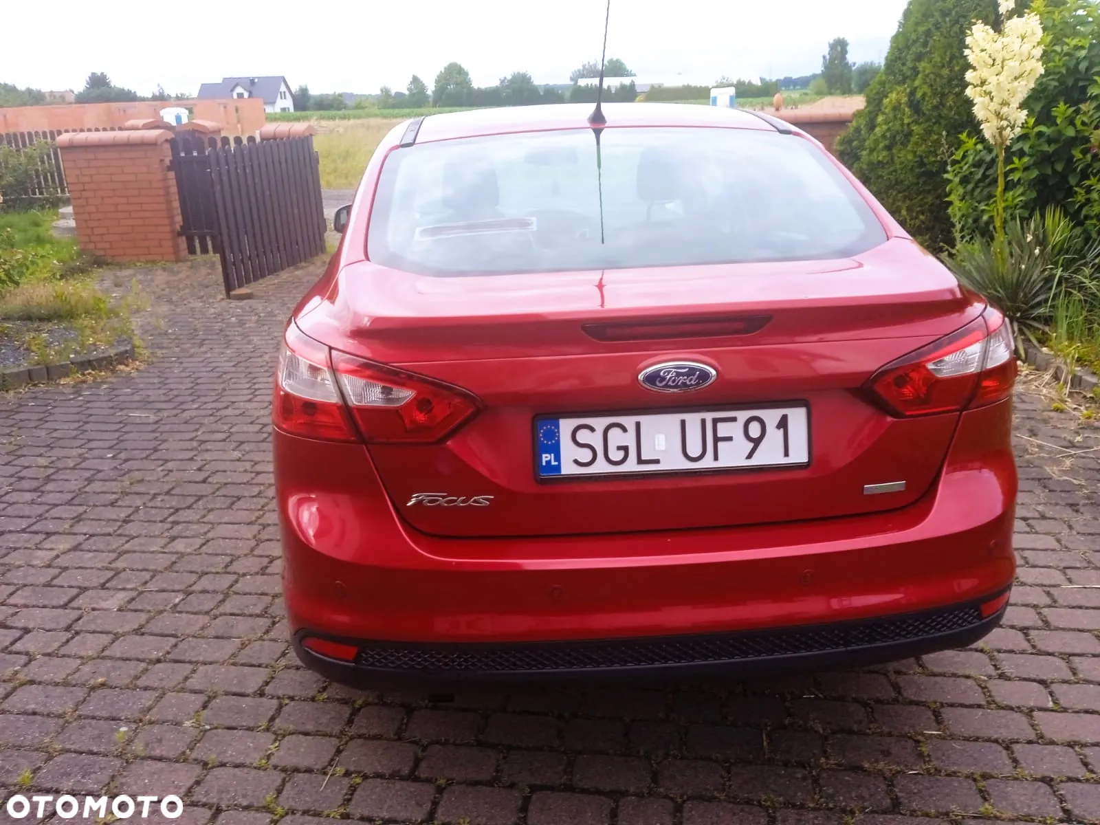 Ford Focus - 2