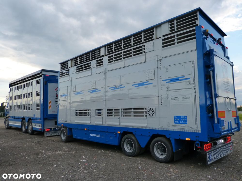 Scania R420 + PRZYCZEPA PEZZAIOLI / ZESTAW DO ŻYWCA, ZWIERZĄT, BYDŁA, TRZODY - 28