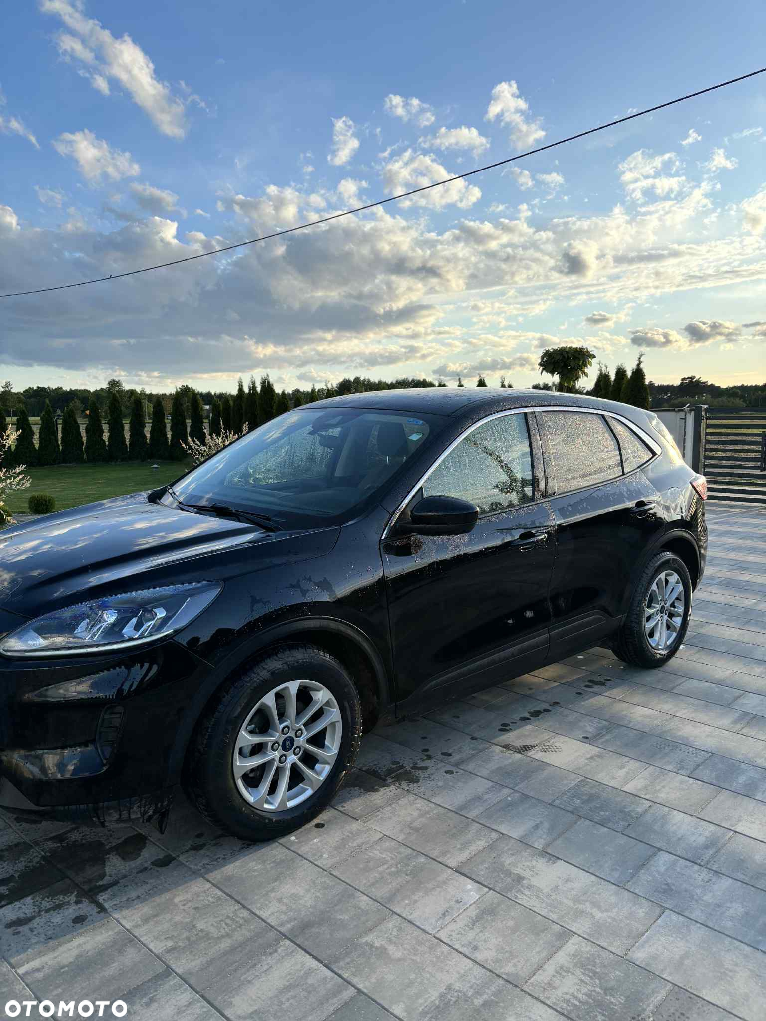 Ford Escape - 2