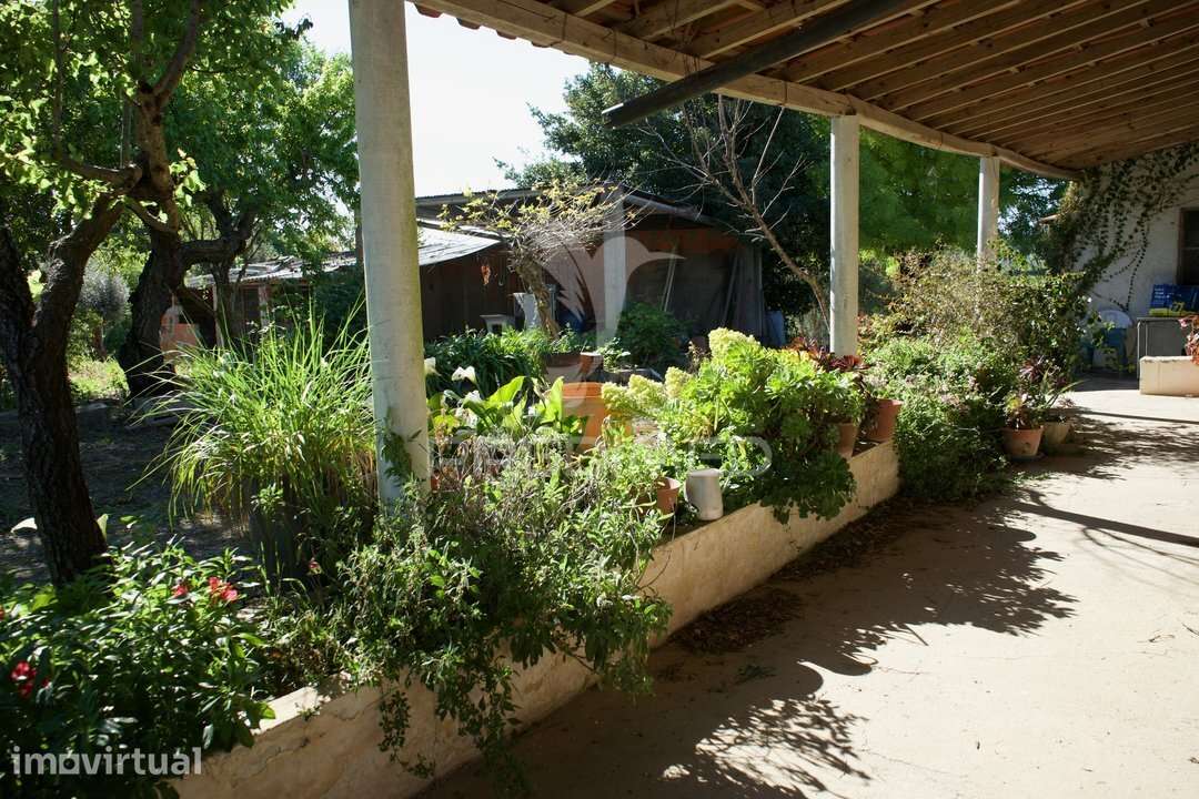 Casa de Aldeia com Terreno, Poço | Sobral – São Vicente do Paul - Grande imagem: 3/40