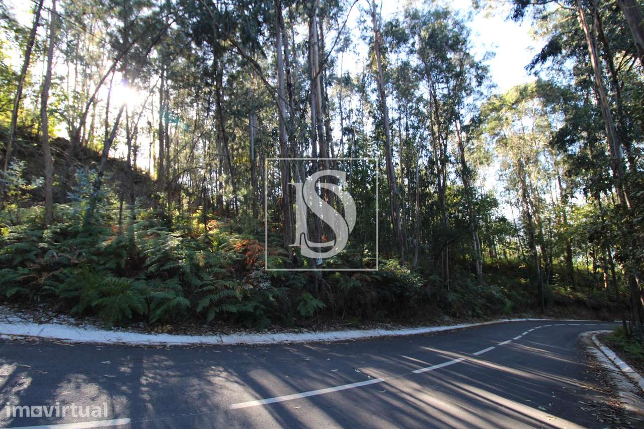 Terreno  Venda em Rebordelo,Amarante - Grande imagem: 3/5