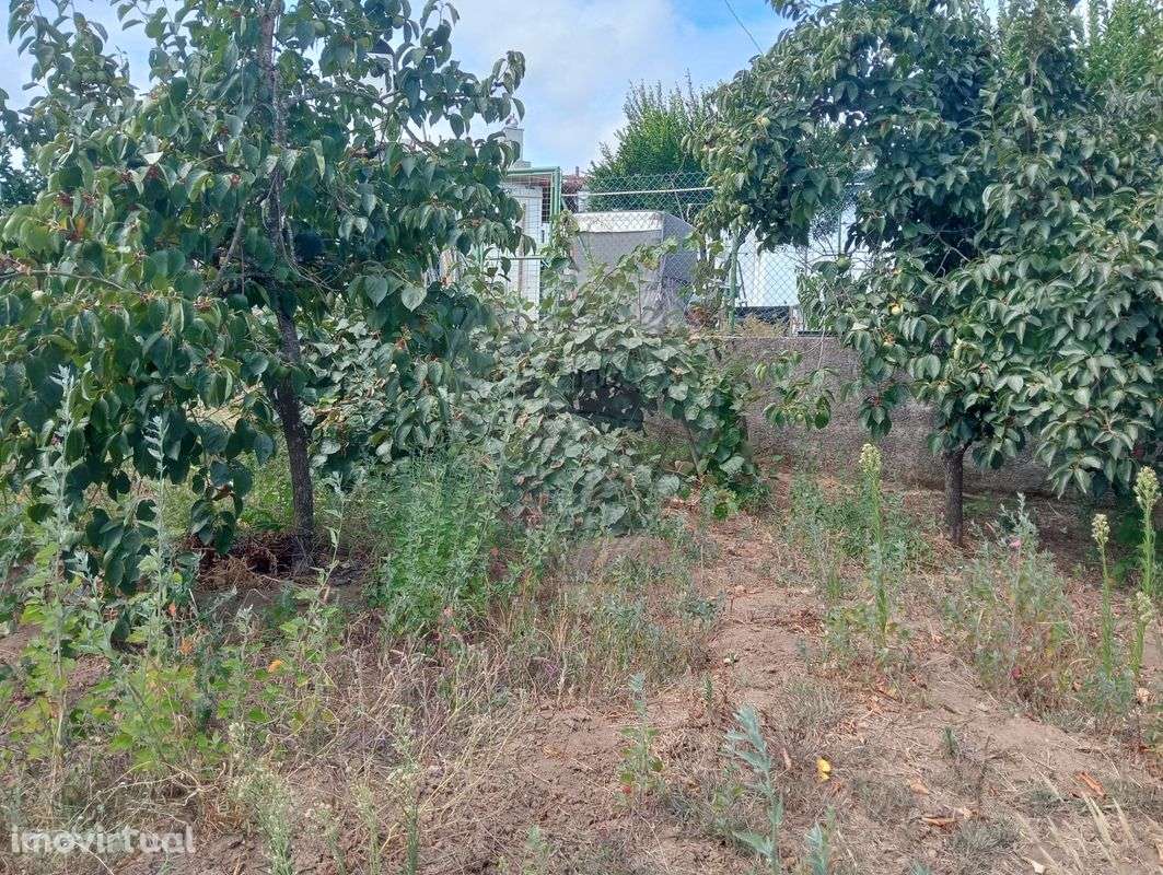 Moradia T2 para venda - Grande imagem: 3/4