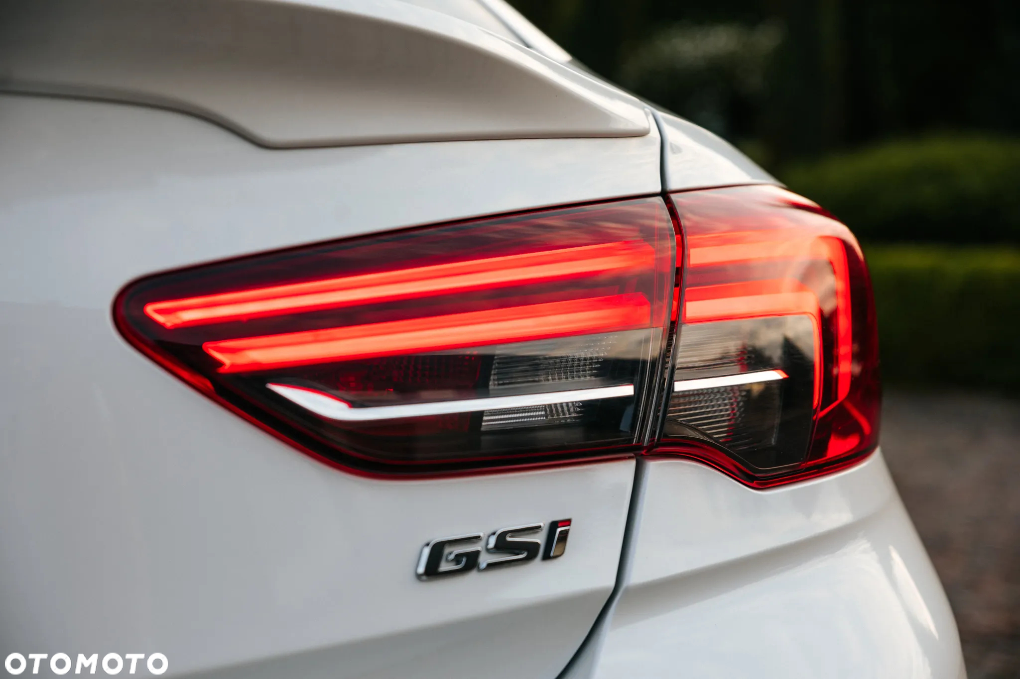 Opel Insignia 2.0 CDTI 4x4 GSi S&S - 21