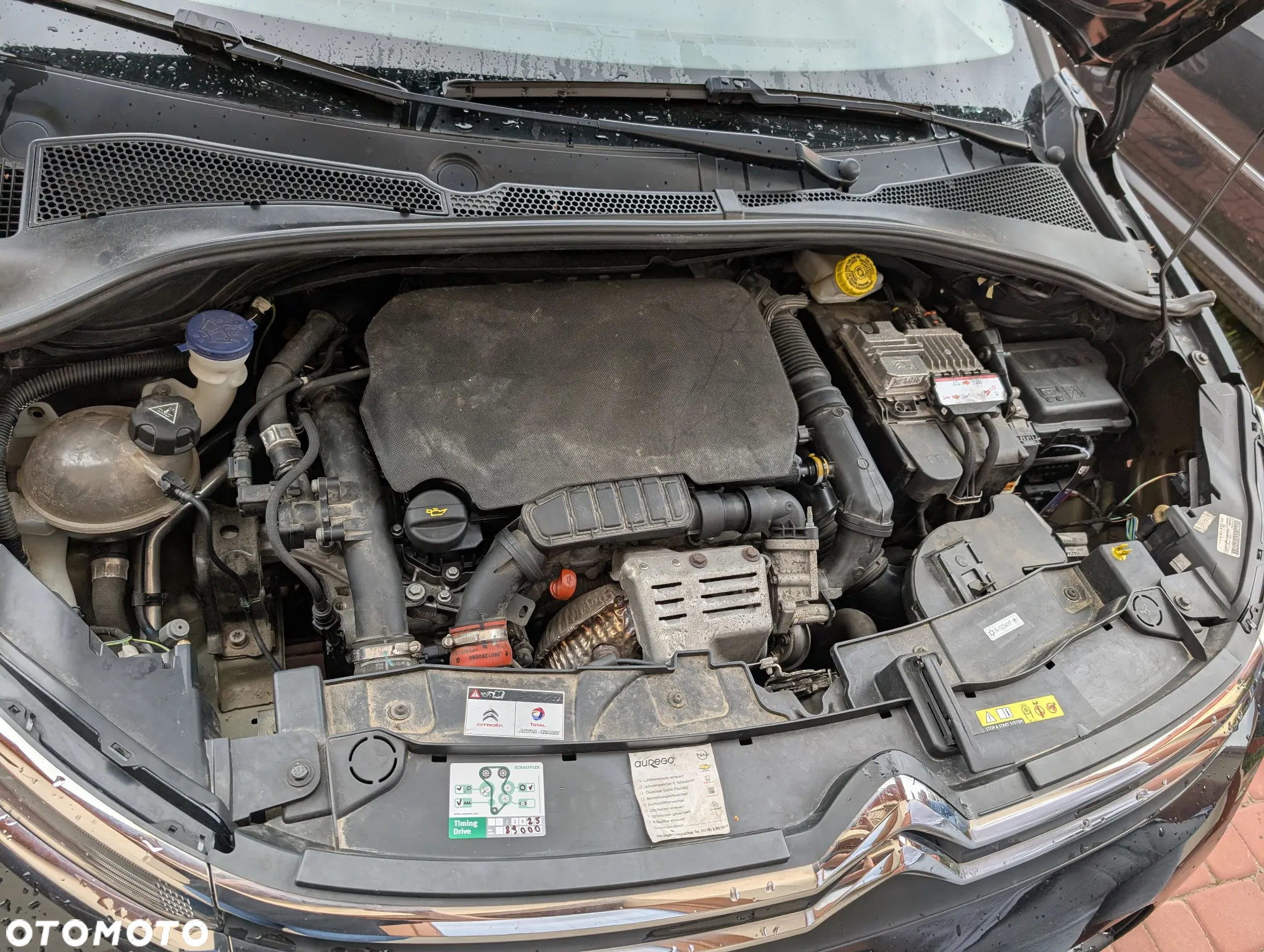 Citroën C3 1.2 PureTech Shine S&S - 16