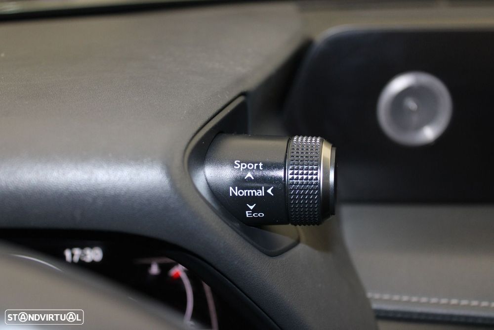 Lexus UX 250h Premium - 15