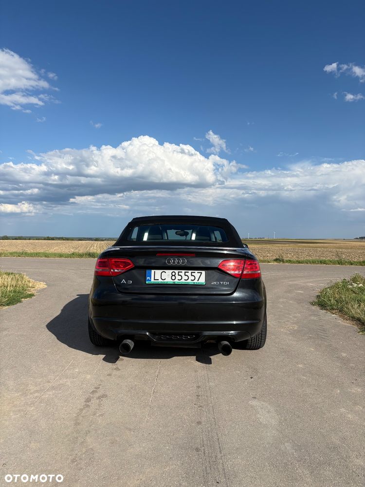Audi A3 Cabrio 2.0 TDI DPF Ambition S tronic - 7