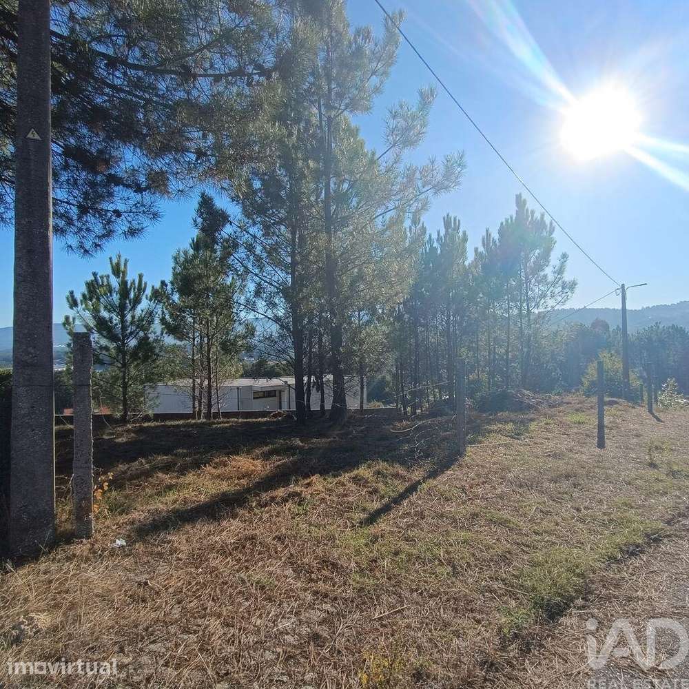 Terreno para construção em Reboreda e Nogueira - Grande imagem: 2/12