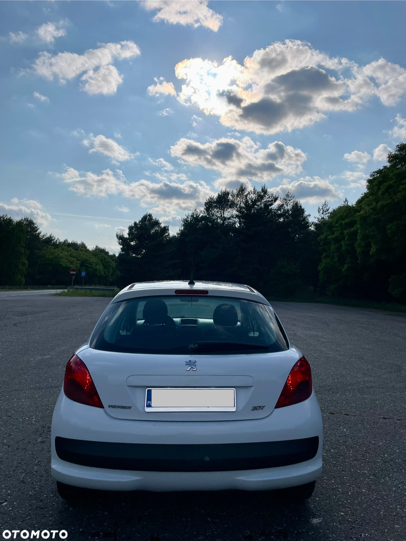 Peugeot 207 - 5
