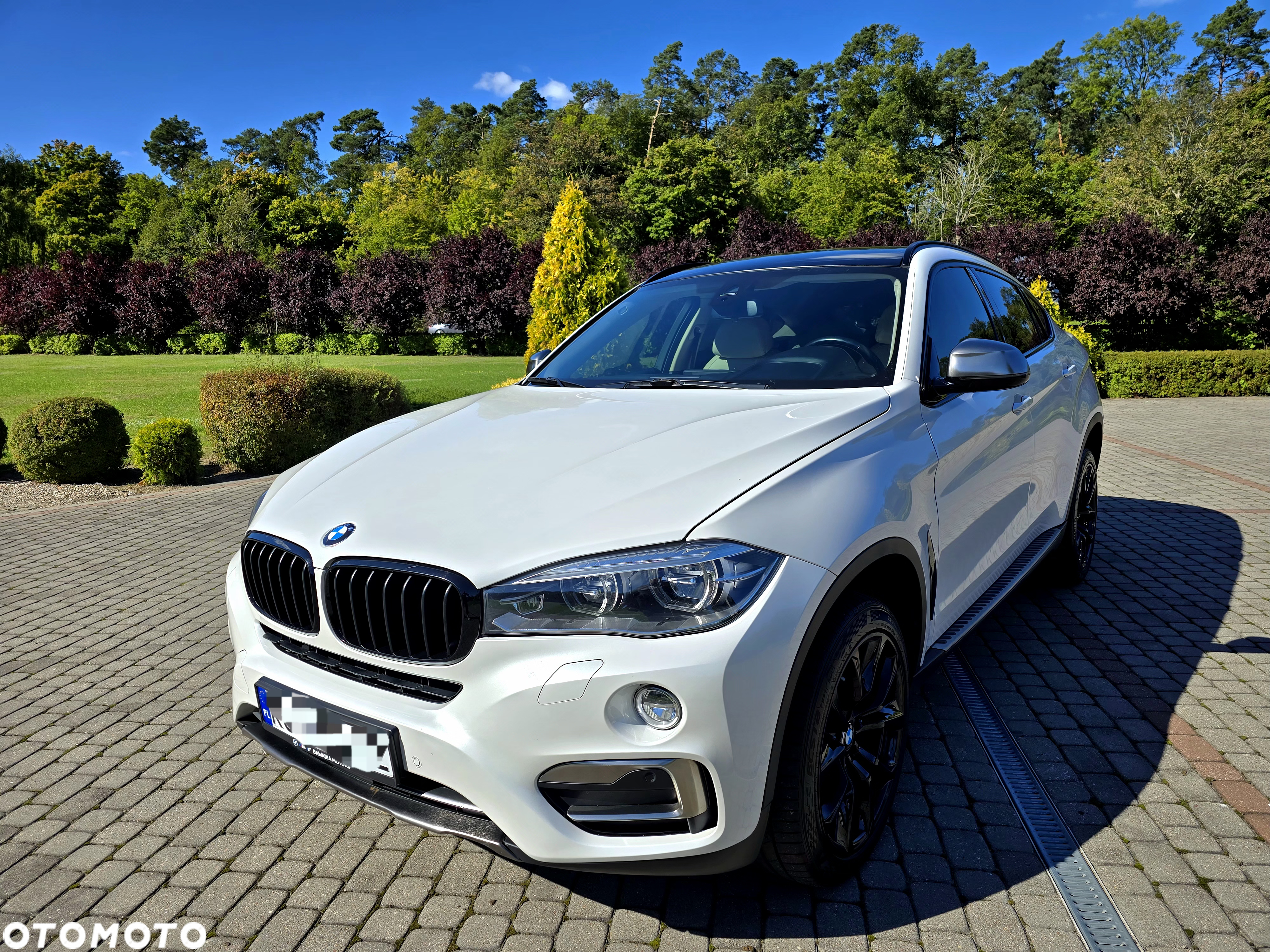 BMW X6 xDrive30d M Sport - 14
