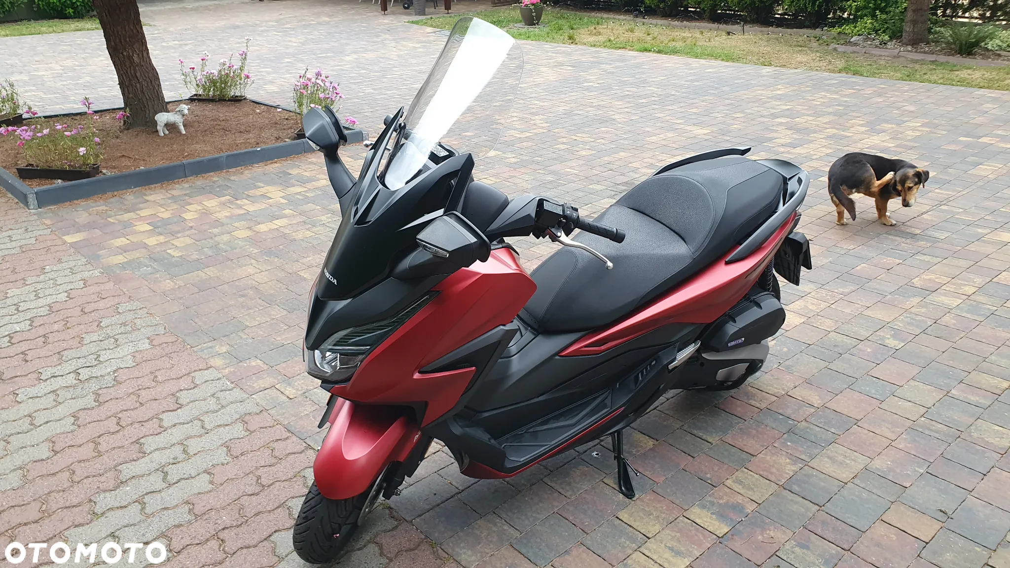 Honda NSS - 6