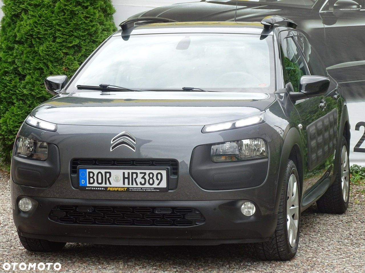 Citroën C4 Cactus - 8