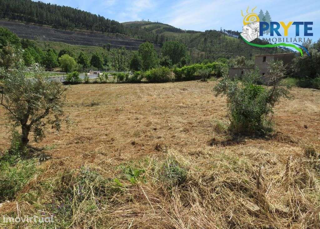 Quintinha junto à Praia Fluvial da Isna de São Carlos - Grande imagem: 5/18