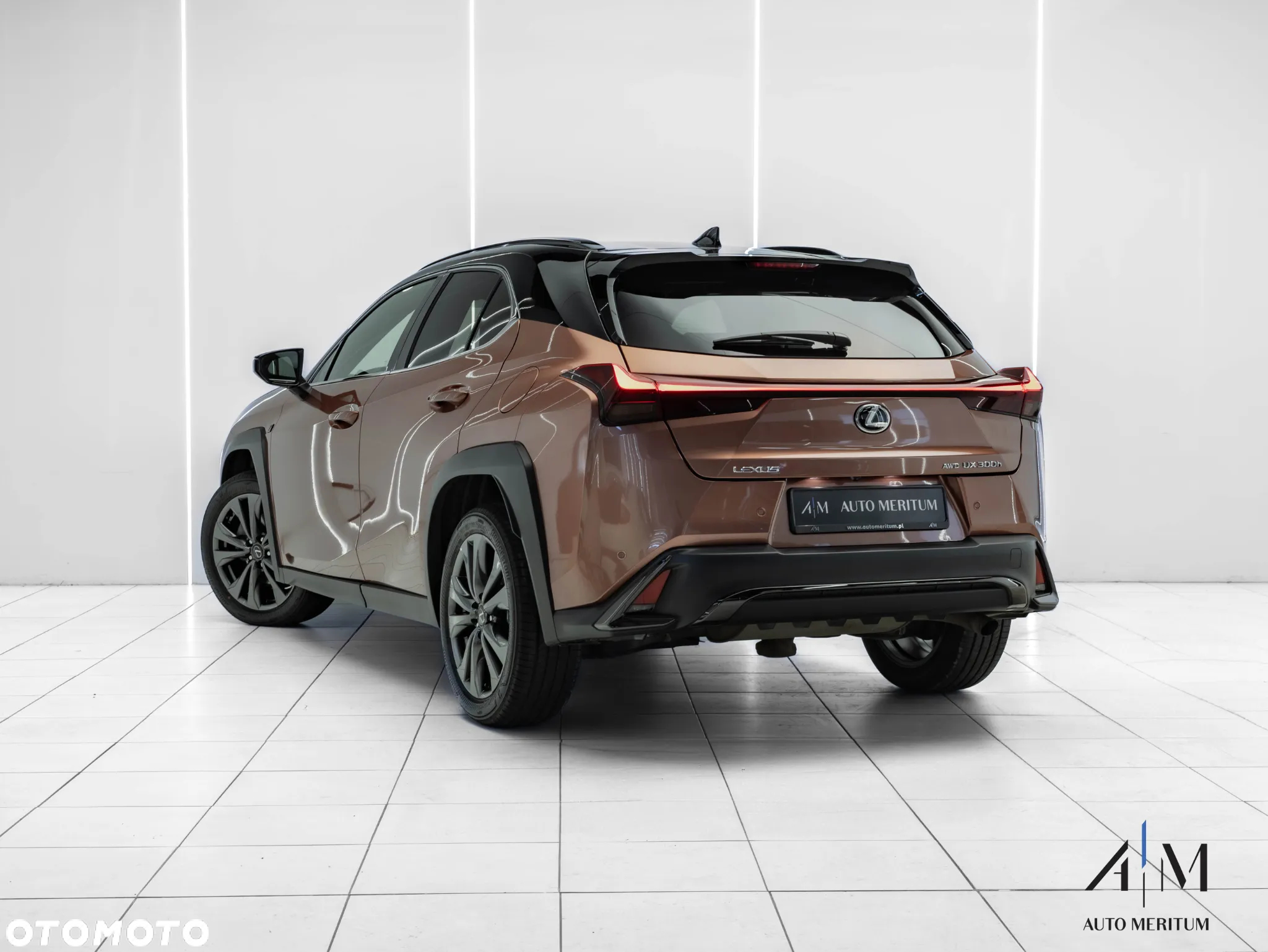 Lexus UX 300h F Sport Design AWD - 3