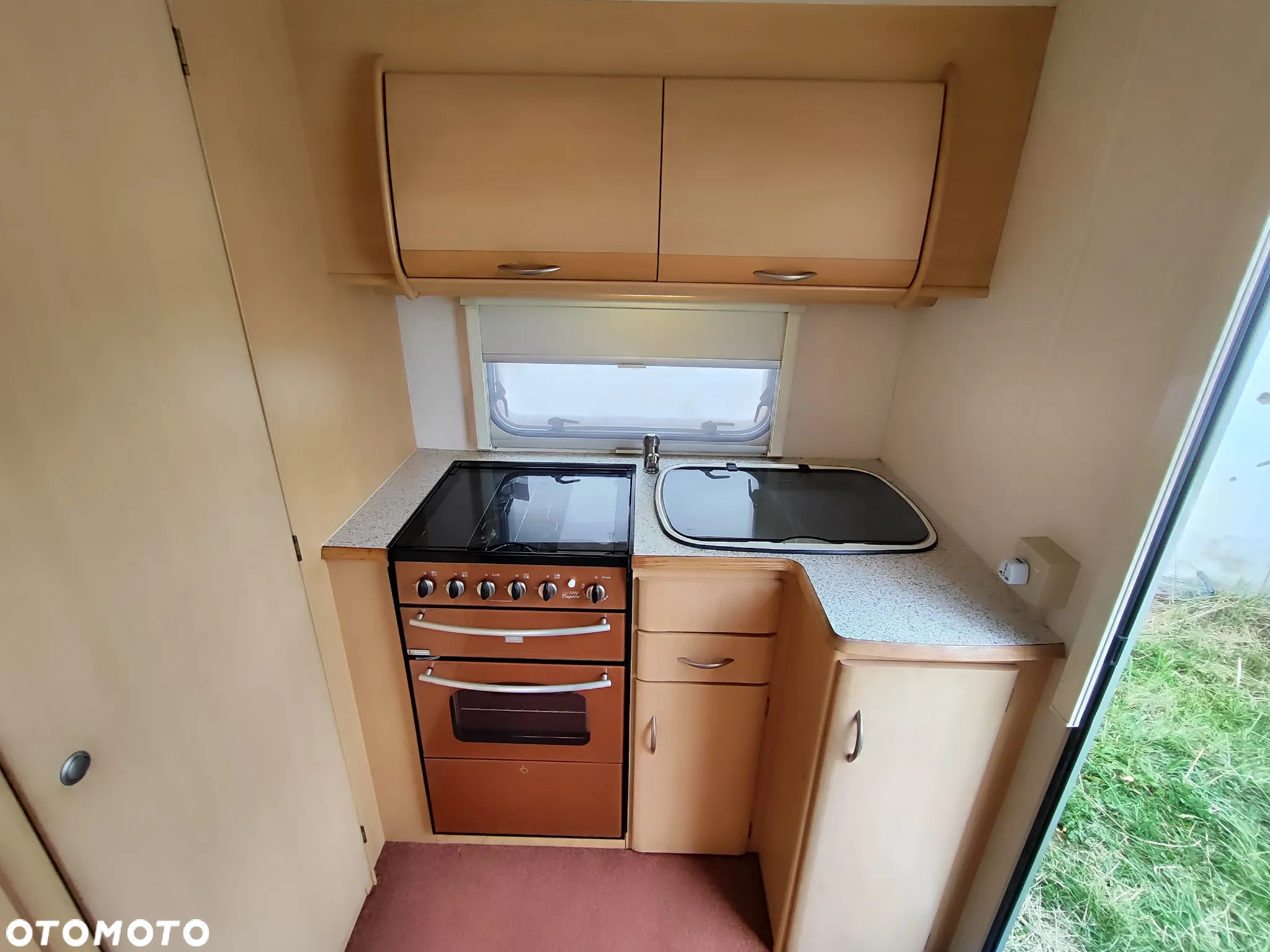 Coachman Amara - 7