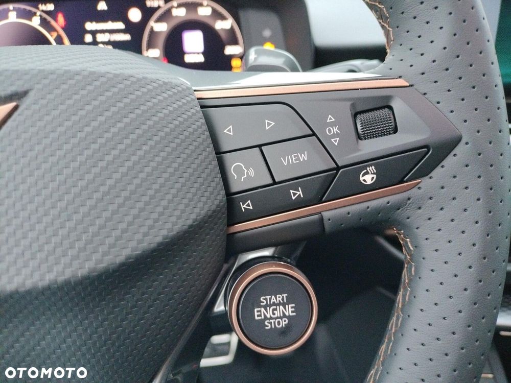 Cupra Terramar - 18