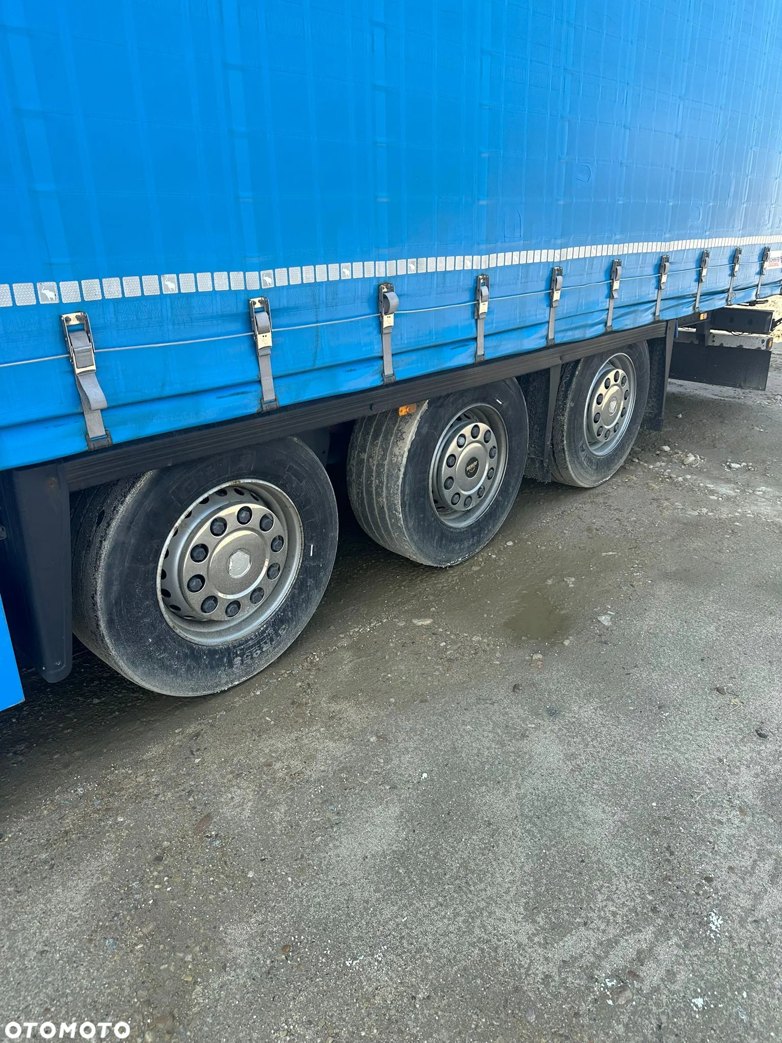 Schmitz Cargobull - 4