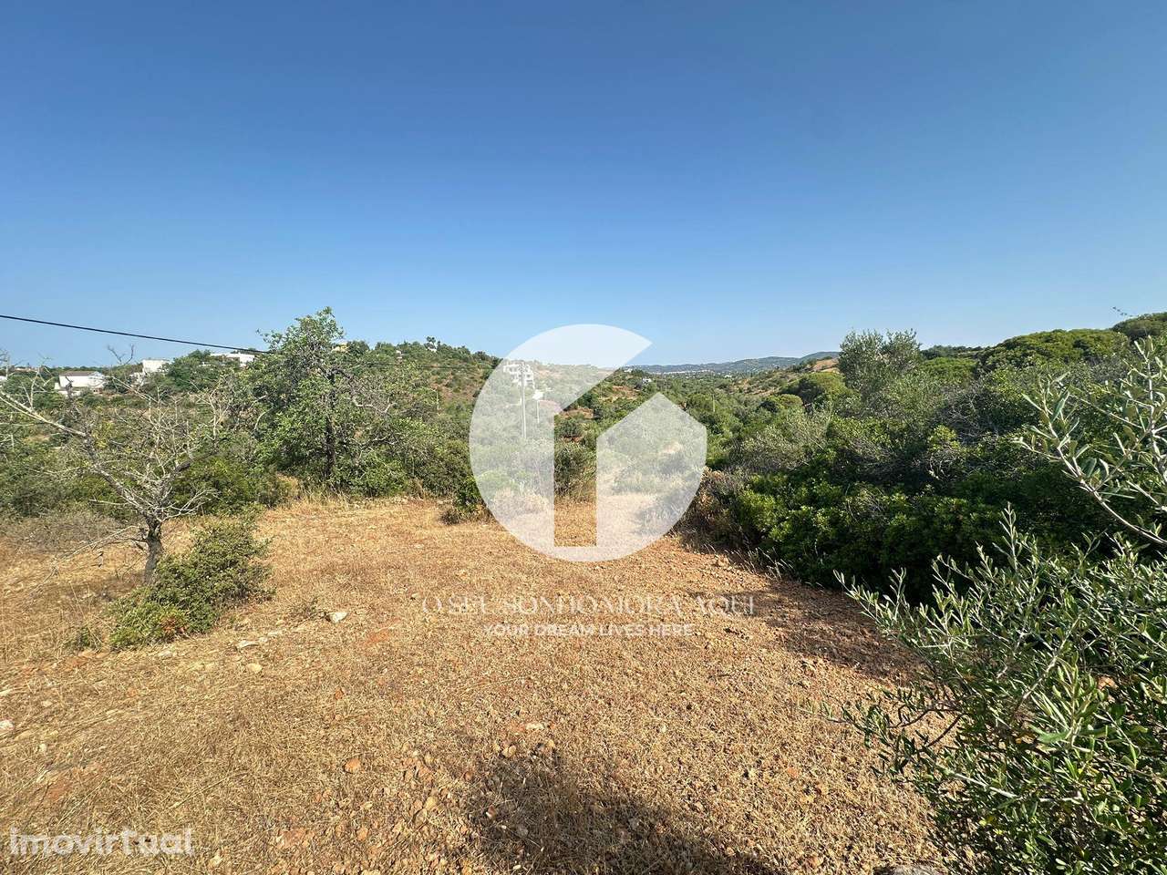 Terreno Rústico - Pechão - Grande imagem: 2/11