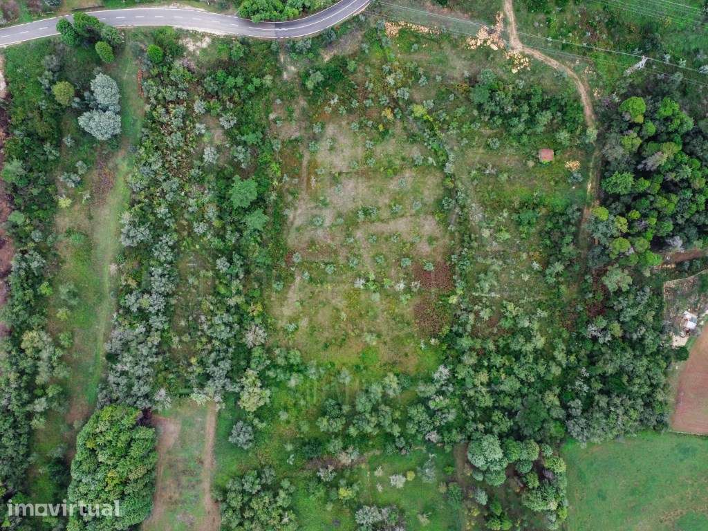 Terreno Urbanizável | Carvalhais, Assafarge - Grande imagem: 4/13
