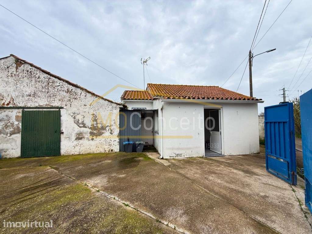QUINTA DE 2 HÉCTARES NA CHAMUSCA| REFÚGIO COM ACESSO DIRETO AO RIO ... - Grande imagem: 4/30