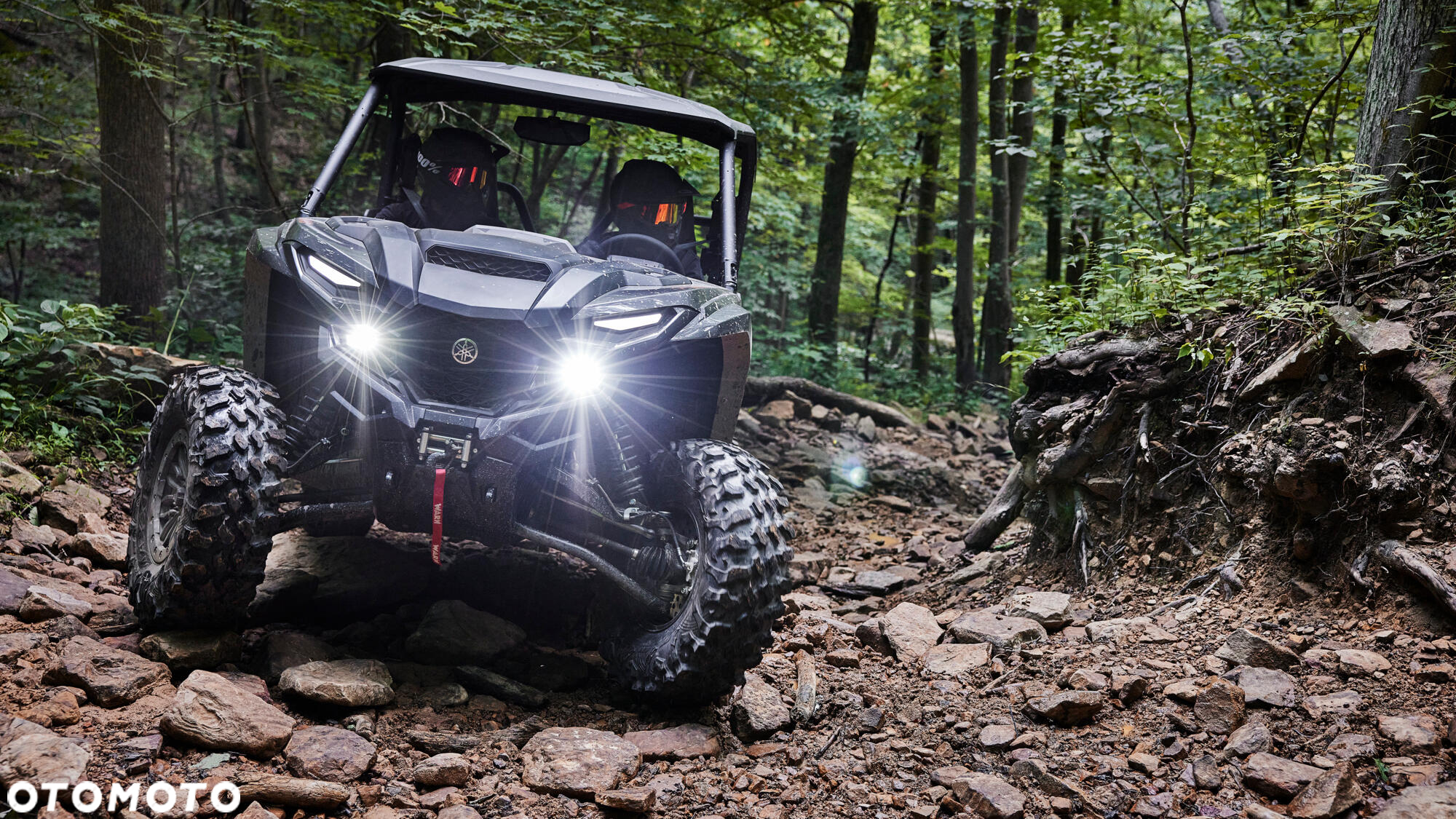 Yamaha Wolverine - 9